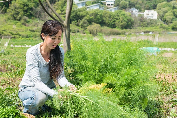 休日に二人でできるおすすめの趣味