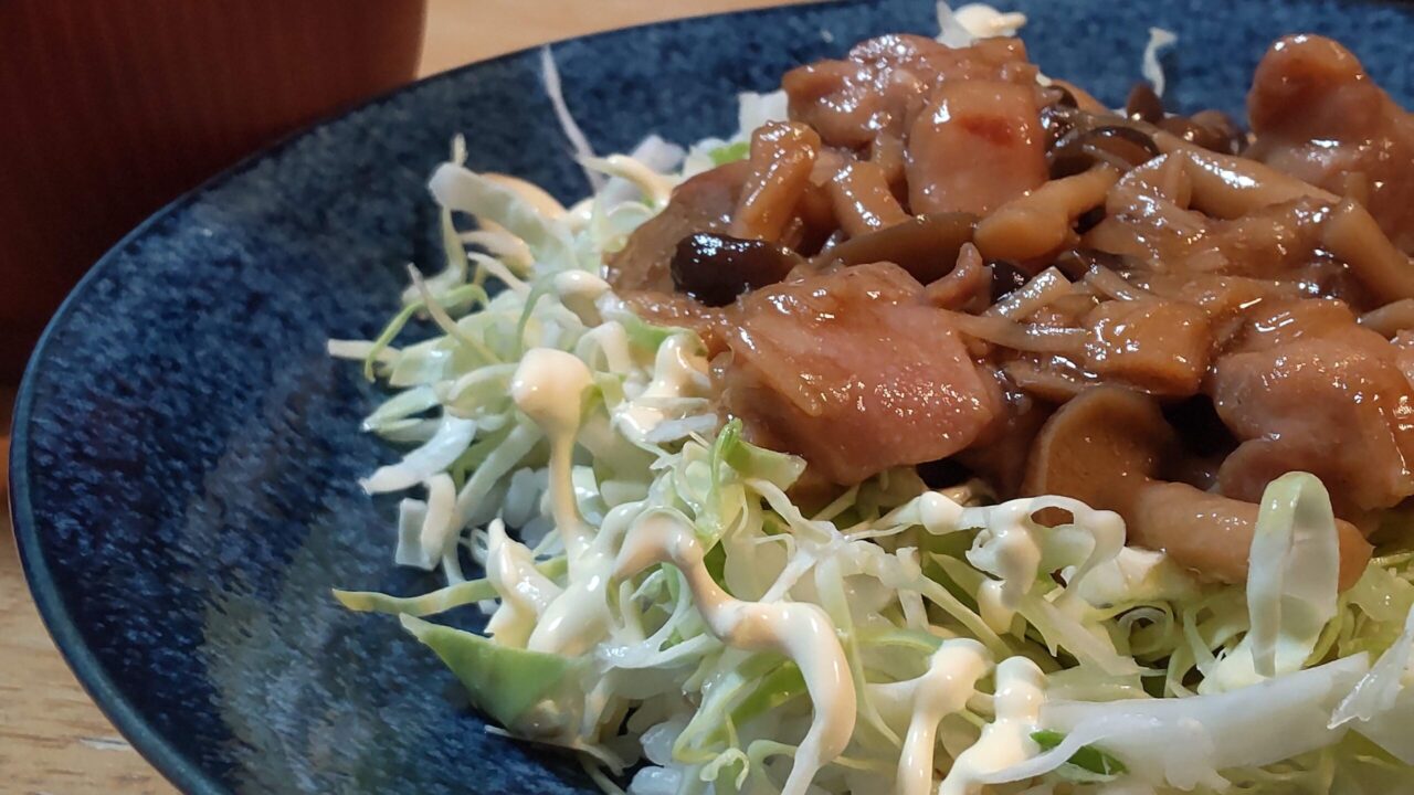 自宅でできるインドア趣味も魅力