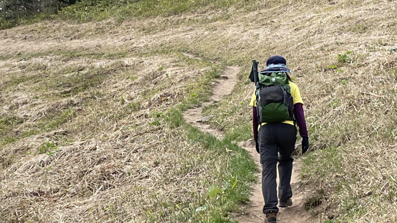登山初心者でも安心な藻岩山の魅力