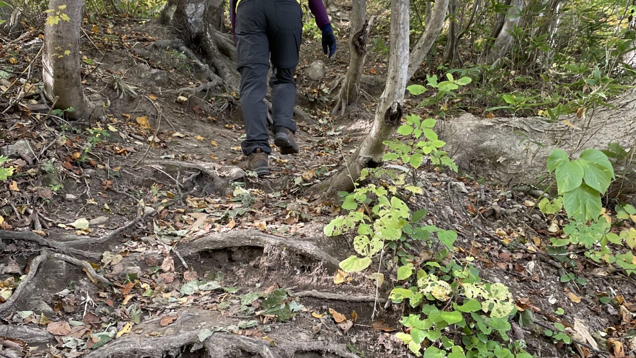 初心者でも登れる整備された登山コース