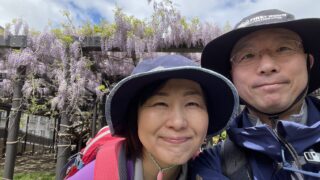 札幌 散歩デートで楽しむ春の豊平川と天神藤と温泉旅