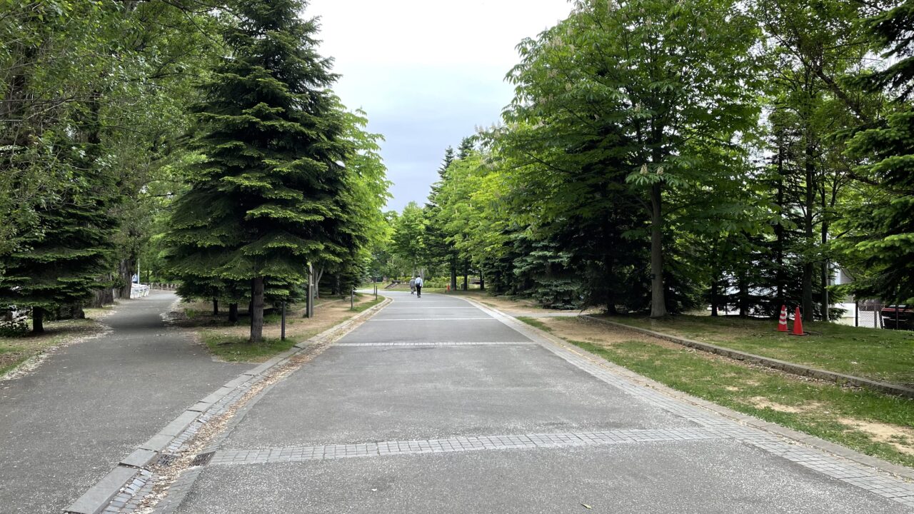 空いている中島公園内