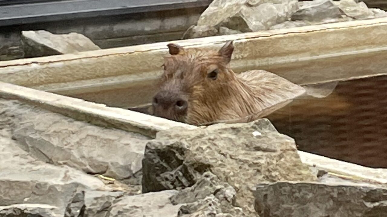 ゆっくり過ごせる札幌近郊の温泉・スパ 