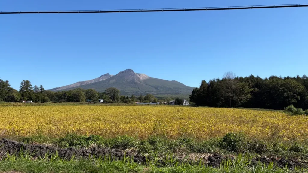 国道5号付近から見た北海道駒ヶ岳の画像