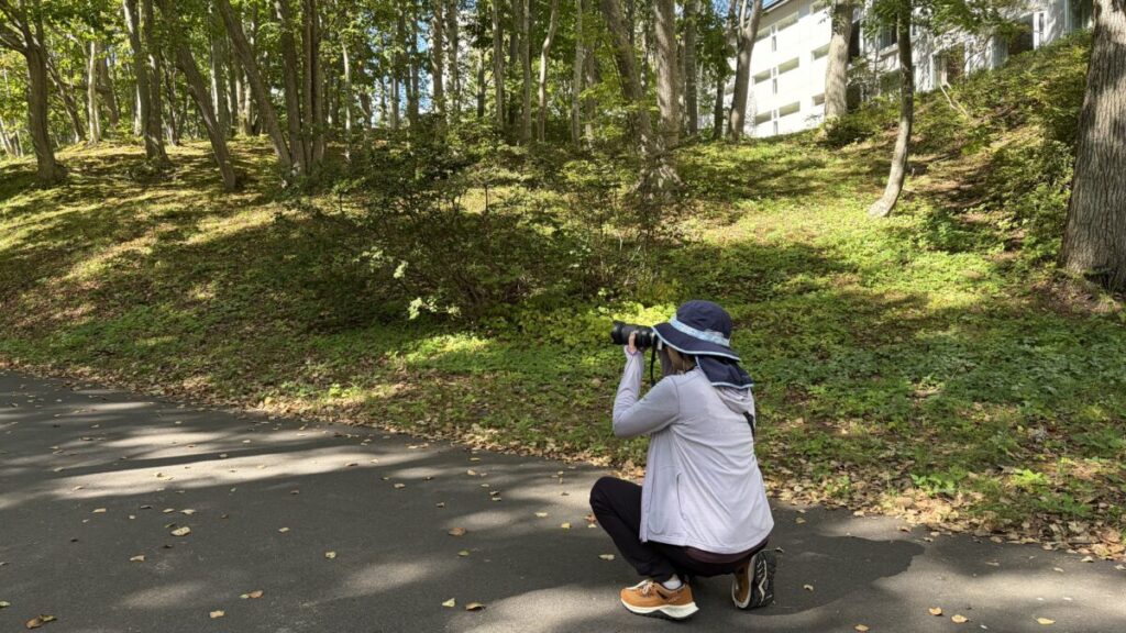 函館大沼プリンスホテルの森でカメラを構えて野鳥を探す妻